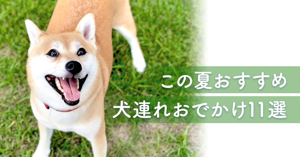 犬連れおでかけ！夏おすすめの愛犬との過ごし方11選！【ノミ・ダニ対策商品紹介】