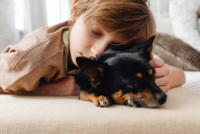 【アンケート結果発表】犬から『一緒に寝る相手』に選ばれる人の特徴4つ