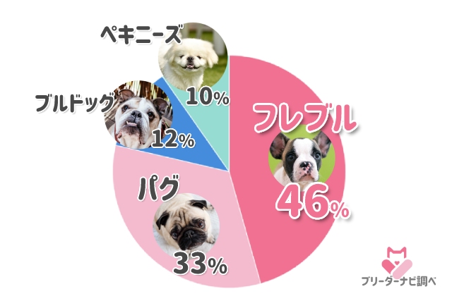 アンケート結果発表 大人気 ブサかわ な犬種6選 ブリーダーナビ
