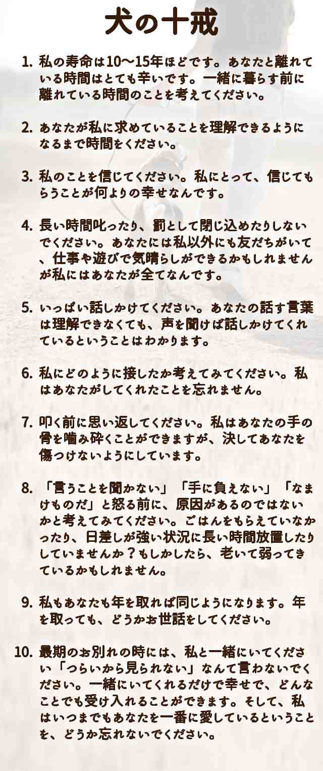 犬の十戒に 裏 バージョンが 老犬の十戒 と 犬の聖歌 も合わせてご紹介 ブリーダーナビ