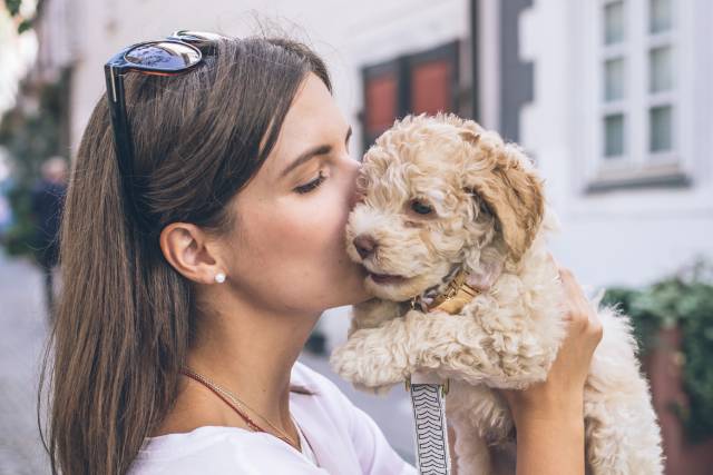 『犬吸い』のもたらす効果3選！愛犬を吸っている飼い主さんの割合調査結果も発表♪