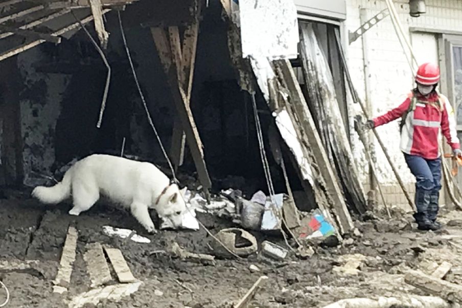 災害救助犬に感謝。熱海市の土石流災害現場での懸命な捜索活動と想い