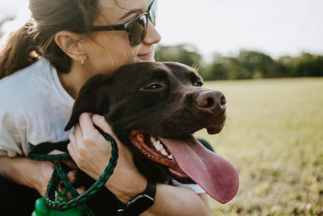 犬の十戒に『裏』バージョンが！？『老犬の十戒』と『犬の聖歌』も合わせてご紹介！