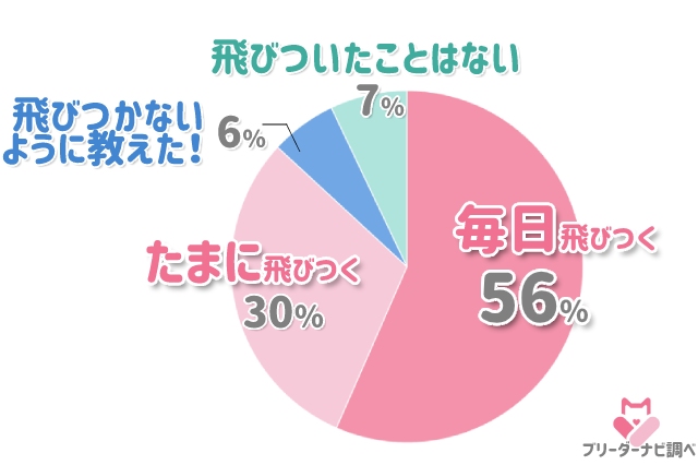 子犬が人に飛びつくのを防ぐ方法