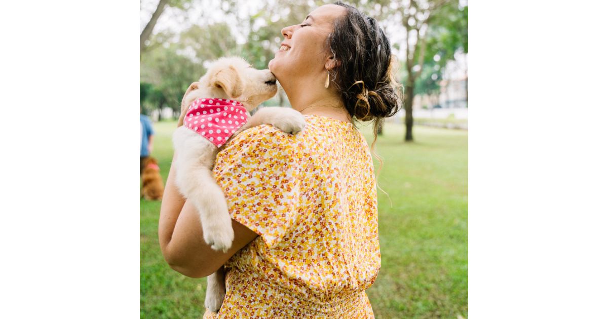 抱っこされたゴールデンの子犬