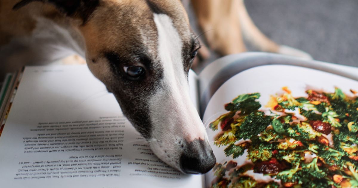 野菜の写真を見る犬