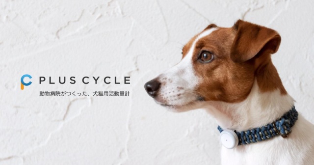 動物病院が作った犬用活動量計『PLUS CYCLE 』！LINEでペットと話せるサービスも開始♪