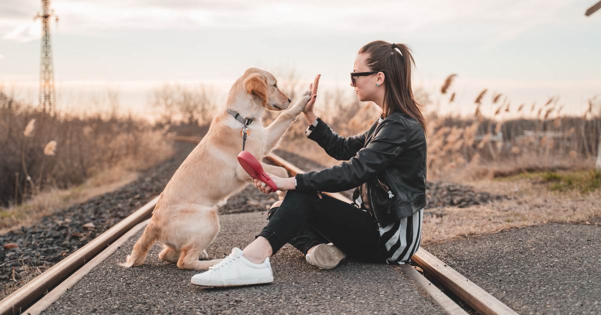 愛犬が飼い主を見分けてハイタッチしている様子