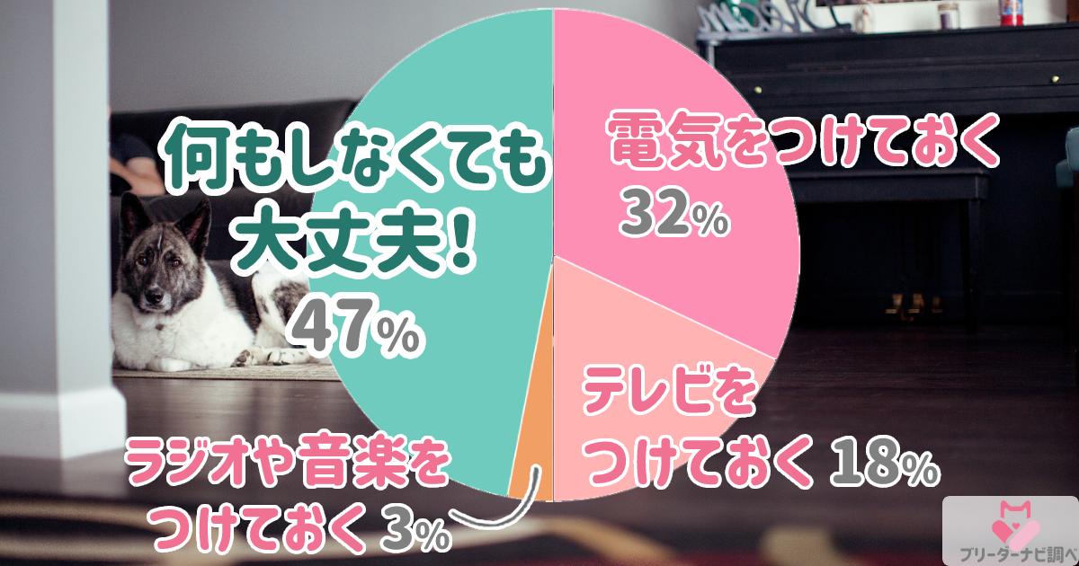 愛犬の留守番中不安対策何してる？アンケート結果グラフ