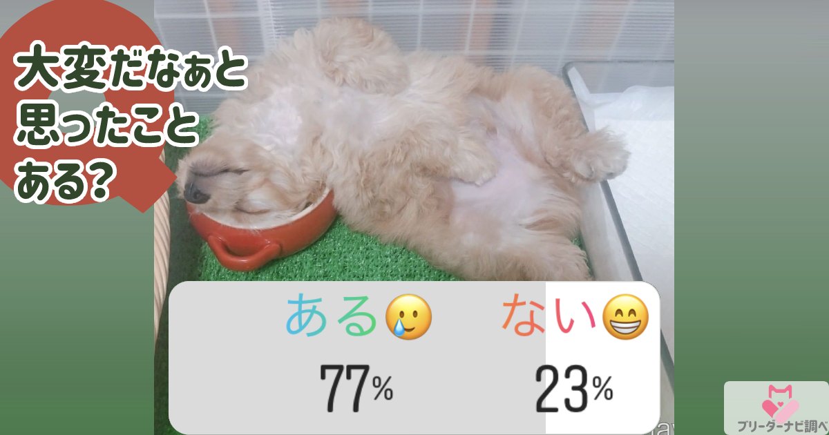 犬を飼っていて大変だなと思うことはある？グラフ