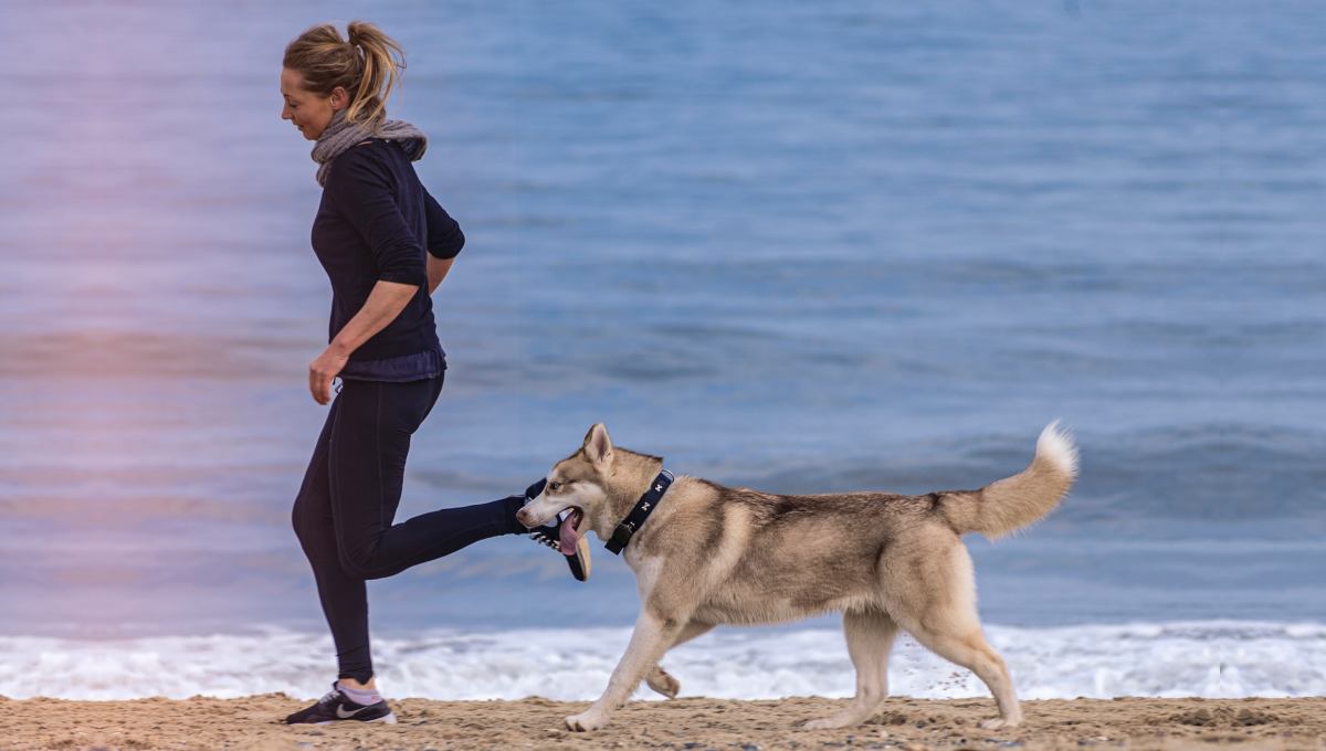 海辺を飼い主の後をついて走る犬