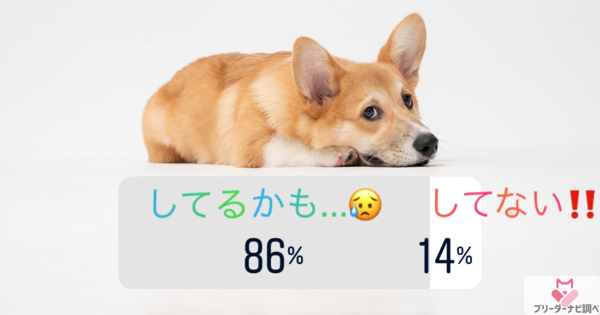 愛犬にストレスかけてない？アンケート結果