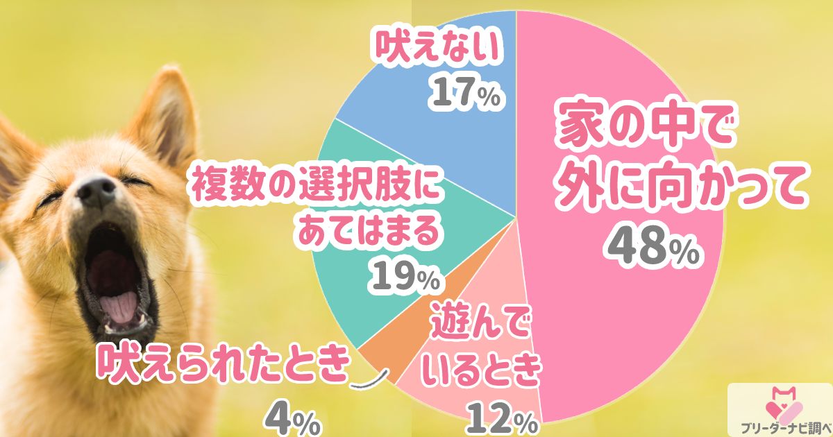 愛犬はどんなときに吠える？アンケート結果