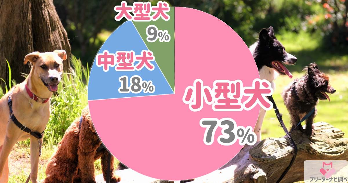 犬のサイズアンケート結果