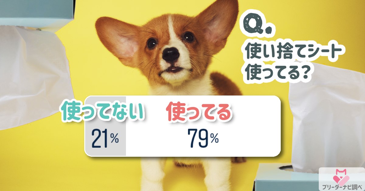 犬用「使い捨てシート」でケアしてる？アンケート結果発表！編集部おすすめケア用品もご紹介★ブリナビ調査隊★