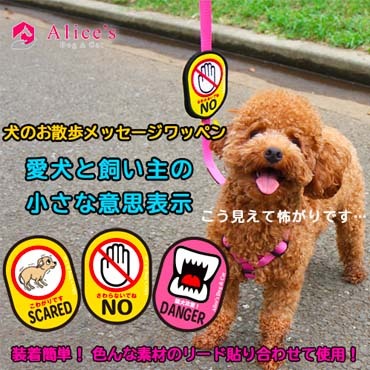 犬のお散歩メッセージワッペン