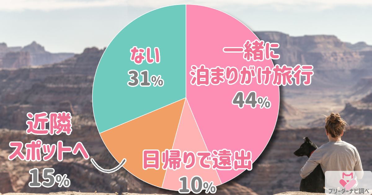 愛犬と一緒に観光旅行したことある？アンケート結果発表！編集部おすすめスポット、施設やプランもご紹介★ブリナビ調査隊★