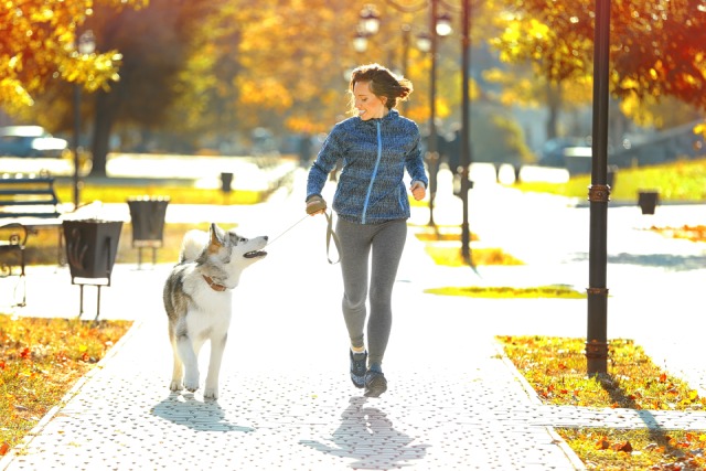 愛犬との散歩はなぜ必要？