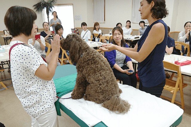 愛犬と一緒にレッスンしませんか？