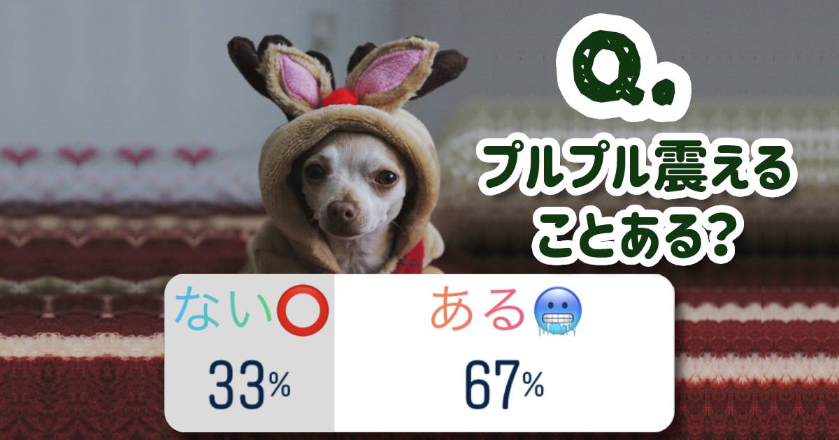 愛犬はプルプル震えることがある？