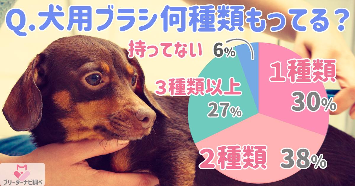 犬用ブラシ