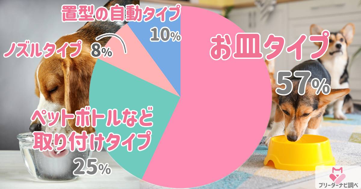 犬に新鮮な水を与える理由は？みんなが使ってる給水器タイプの調査結果発表も★ブリナビ調査隊★