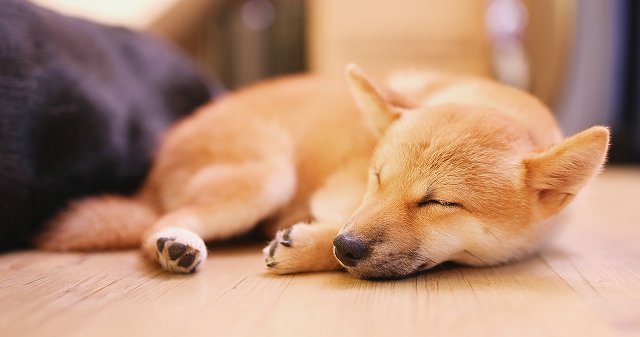 赤ちゃんや子供と一緒でも大丈夫？