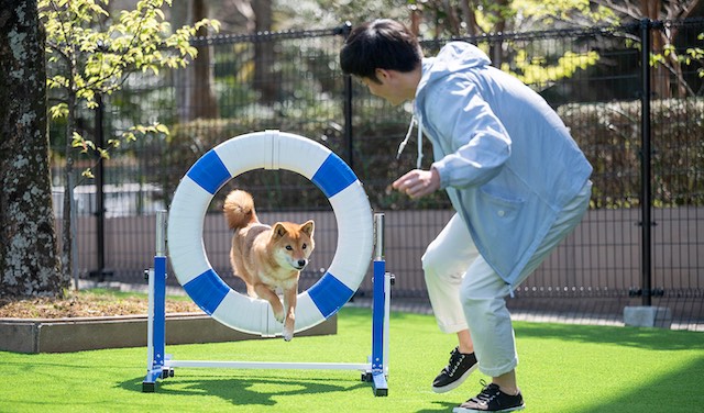 愛犬と初めての旅行も安心！愛犬ファーストをとことん追求した「浜名湖わんわんパラダイスホテル」をご紹介