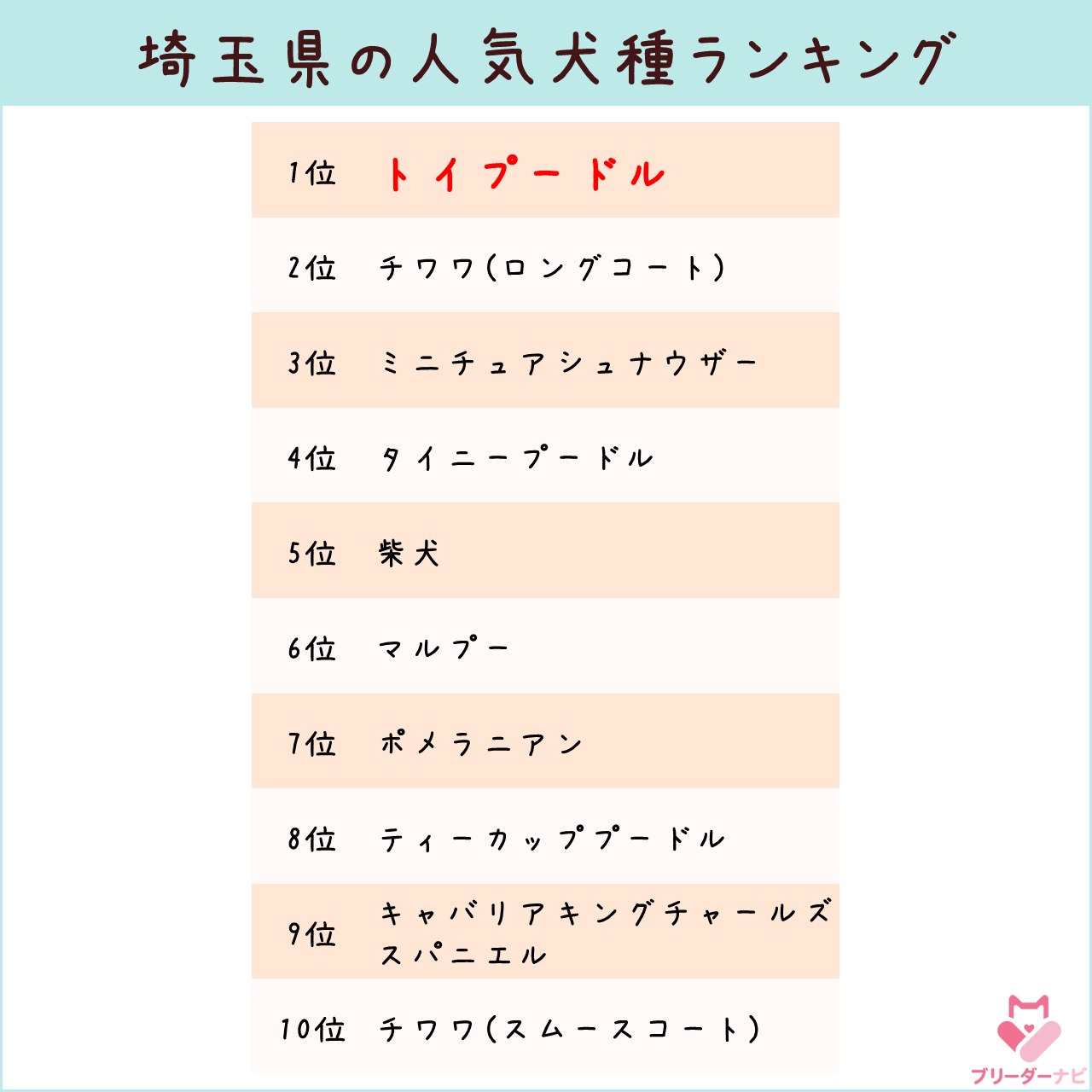 人気犬種ランキング_埼玉_トイプー