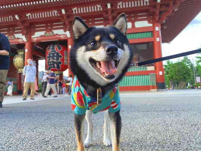 虎太郎くん