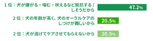 飼い主が「犬のオーラルケア」をやめてしまった理由アンケート結果