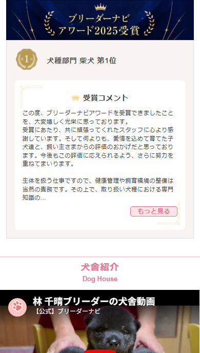 受賞項目とコメント