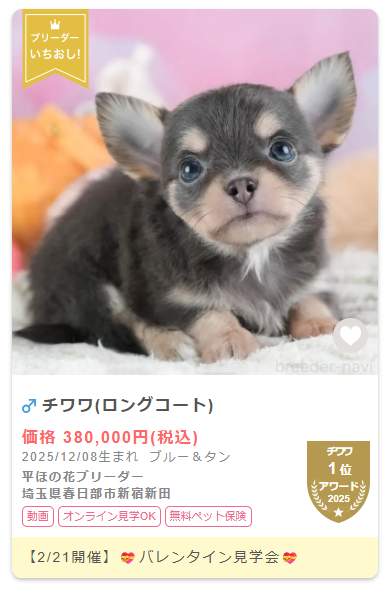 子犬カードバッジ例