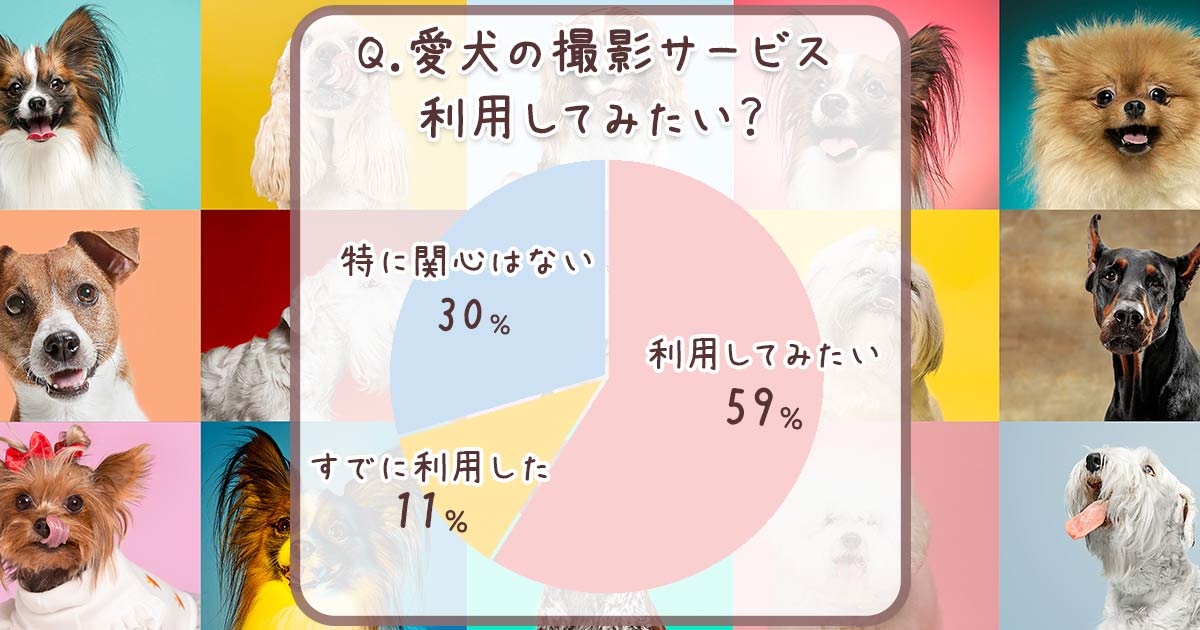 愛犬をプロに撮影してもらいたい？アンケート結果発表★おすすめの愛犬家向けサービスもご紹介！