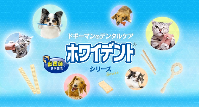「愛犬の歯磨きをもっと手軽に」ドギーマン開発部に聞く歯磨きガムのこだわり