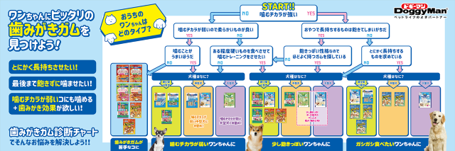 歯みがきガム診断チャートサムネイル