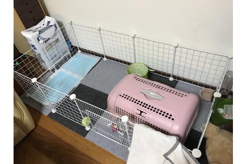 写真7809_2