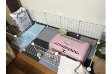 写真7809_2