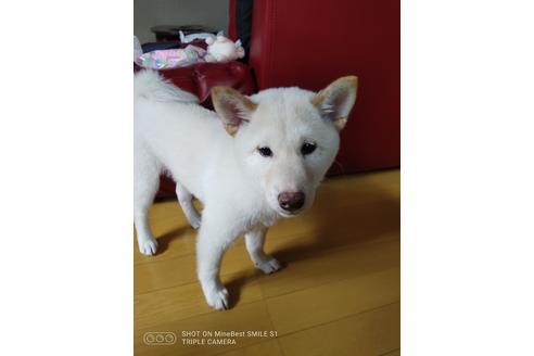 写真7989_3