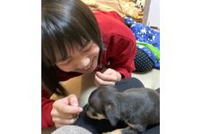 写真_3