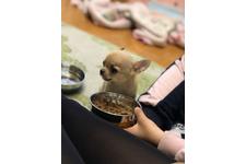 写真9840_1