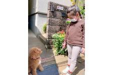 写真_3