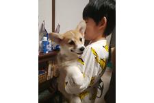 写真_1