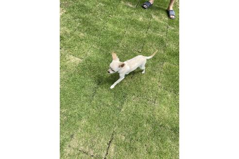 写真11059_1