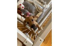 写真13030_1