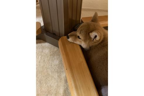 写真13105_2