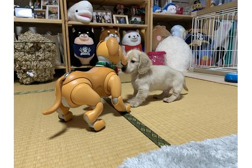 写真13144_2