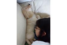 写真_2