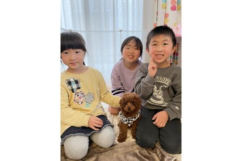 写真15595_4