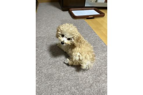 写真15880_1